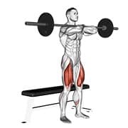 Barbell squat