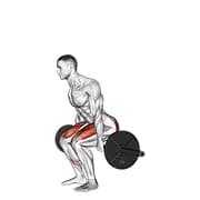 Hack squat