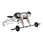 Preacher curl