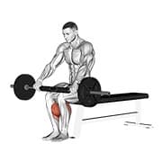 Seated calf raise