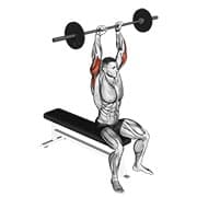 Overhead triceps extension