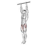 Hanging leg raise