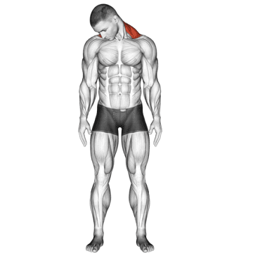 Diagonal Neck Stretch